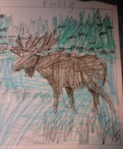 Moose by Emily