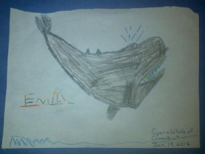 Emily's drawing: Sperm Whale of Connecticut